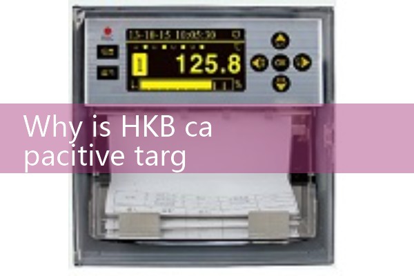 Target flowmeter manufacturer